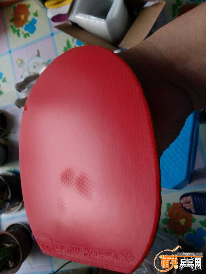 QQͼƬ20161116081501.jpg