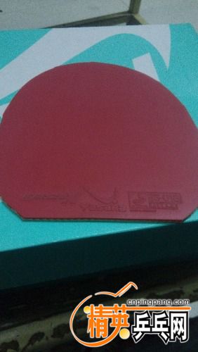 IMG_20161116_212131.jpg