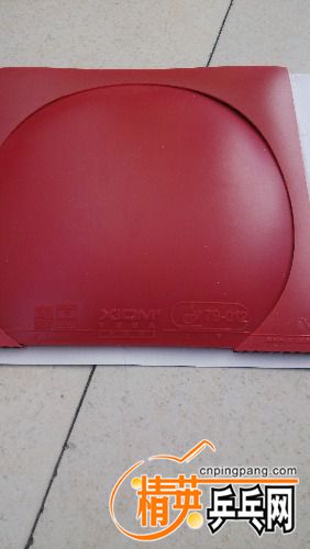 IMG_20161109_095922.jpg