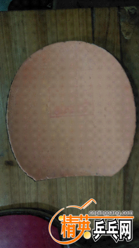 IMAG0995.jpg