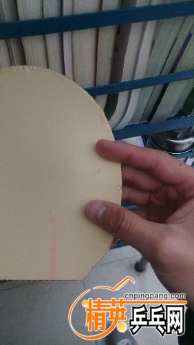 IMG_20161117_125020.jpg