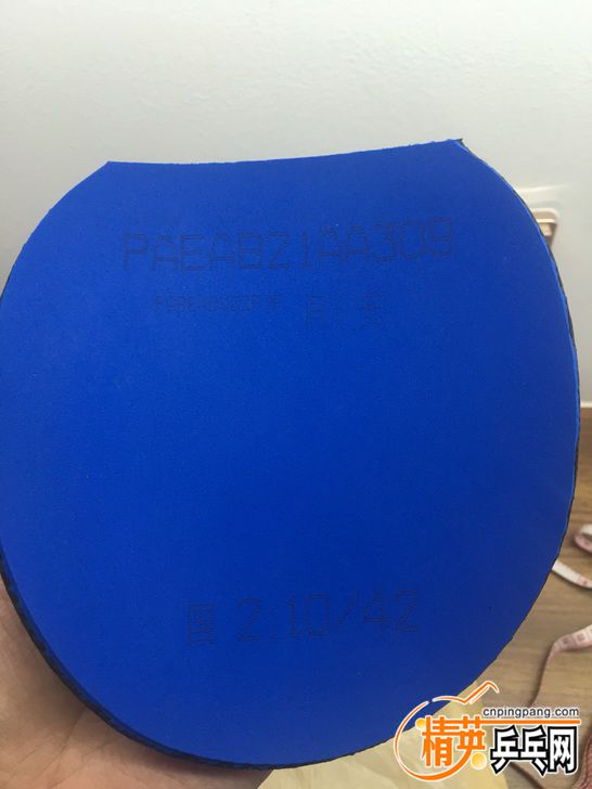 97.jpg
