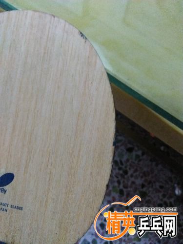 IMG20161118192511.jpg
