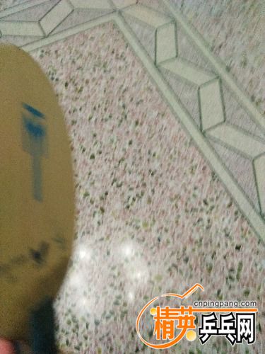 IMG20161118192421.jpg
