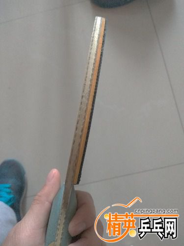IMG_20161118_115056.jpg
