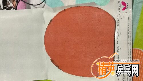 IMG_20161122_193845.jpg