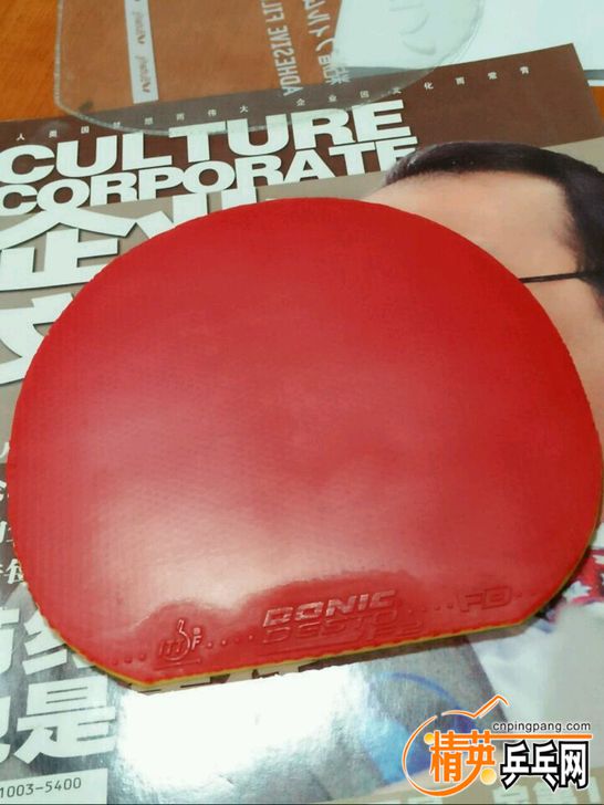 zhengmian.jpg
