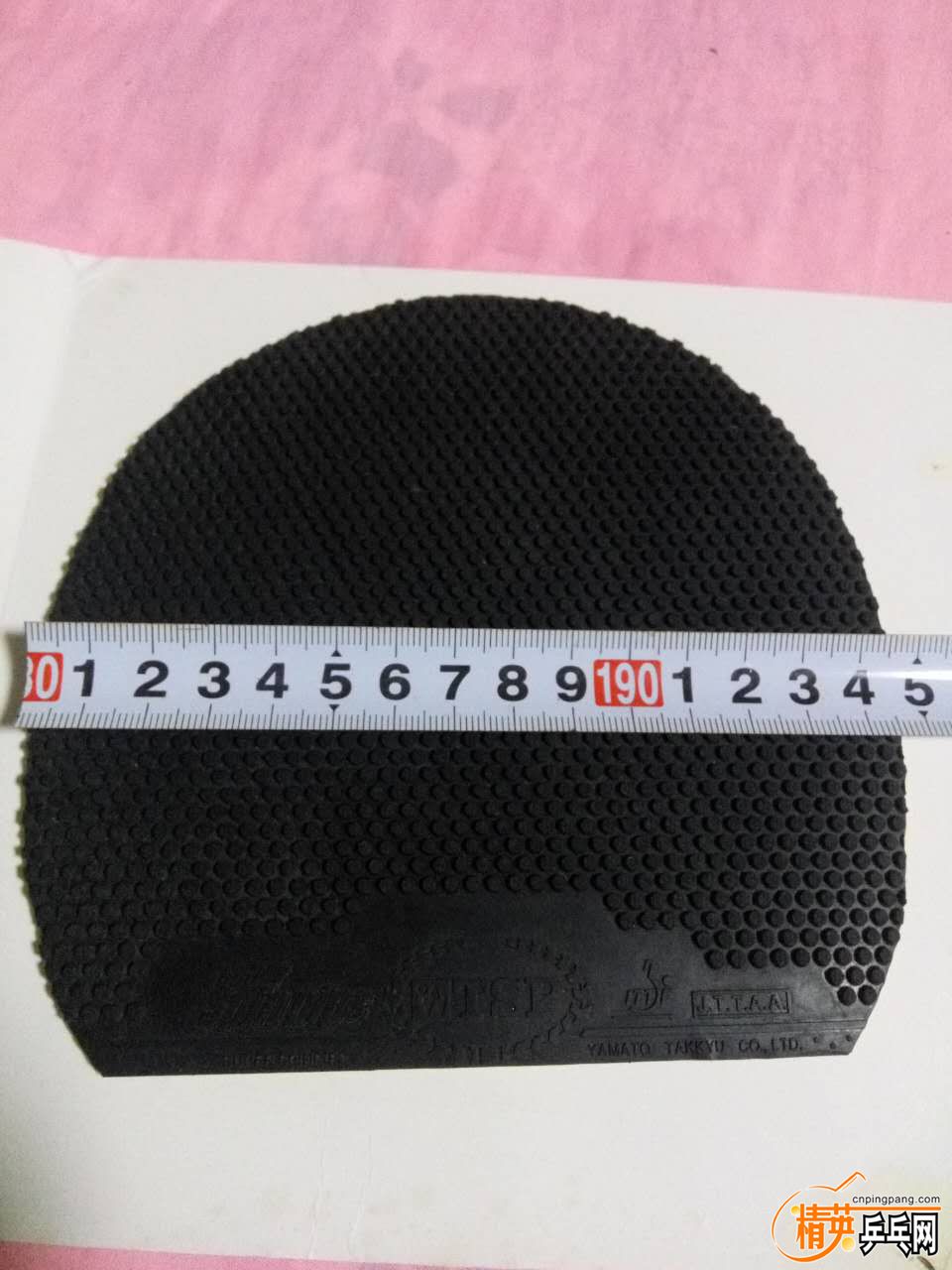 586509173893594024.jpg