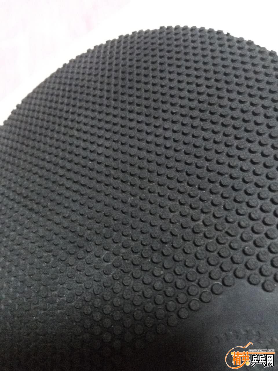625025677949982875.jpg