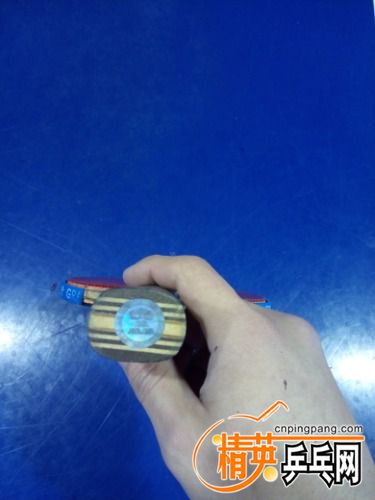 IMG_20161126_152936.jpg