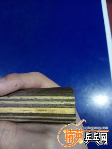 IMG_20161126_152949.jpg