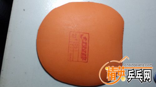 20161124_202546_.jpg