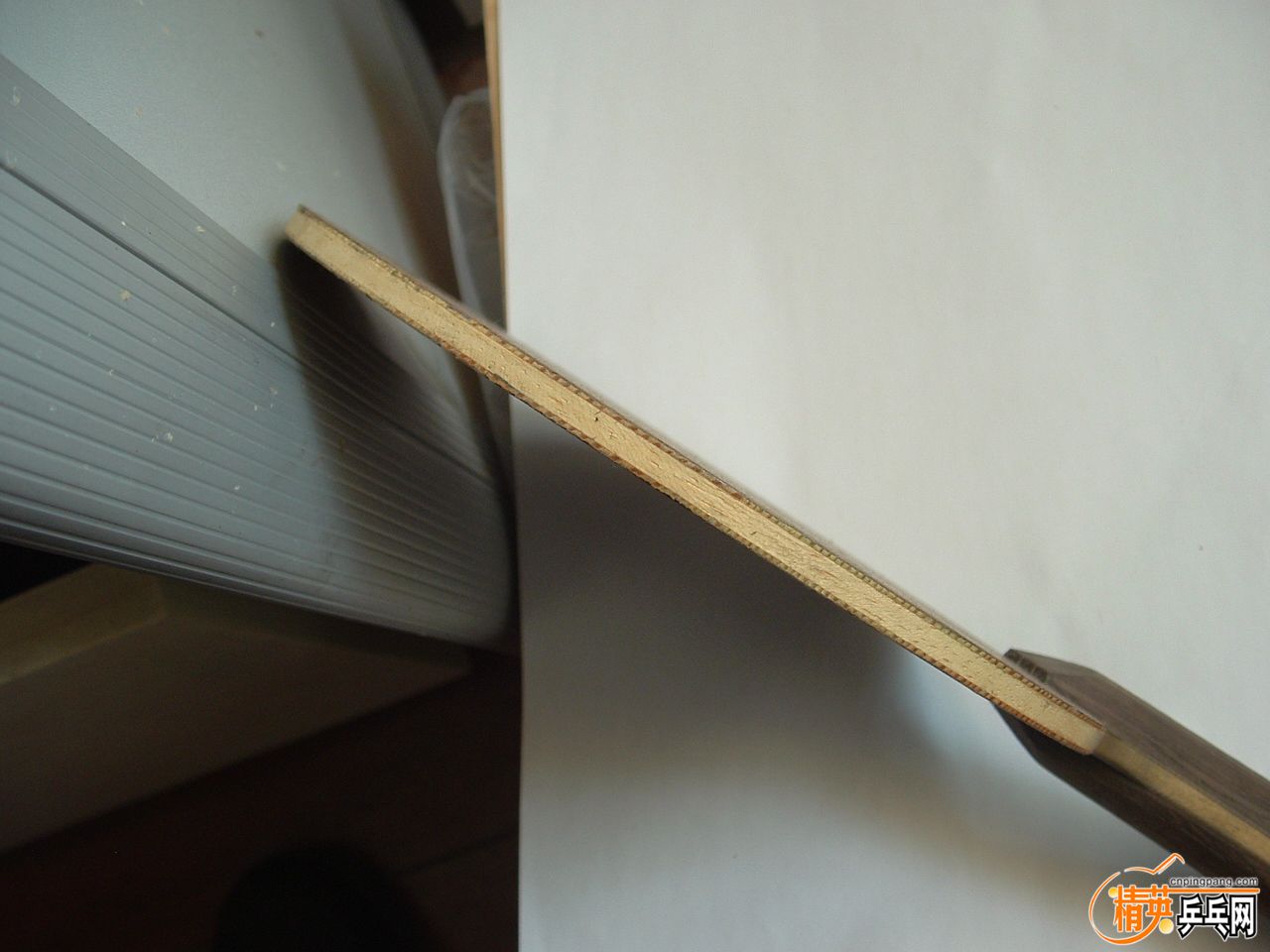 DSCF0963.JPG