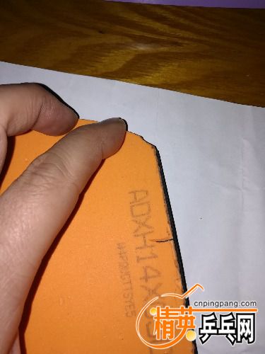IMG_20161125_130536.jpg