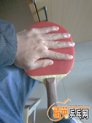 IMG_20161130_135358.jpg