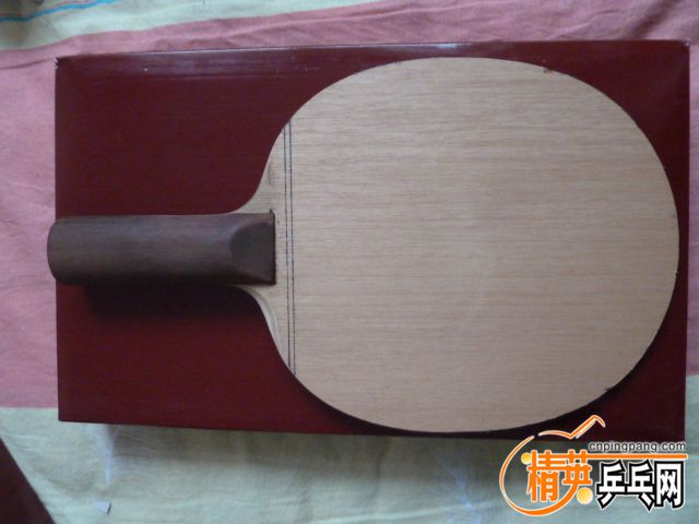 P1010017.JPG
