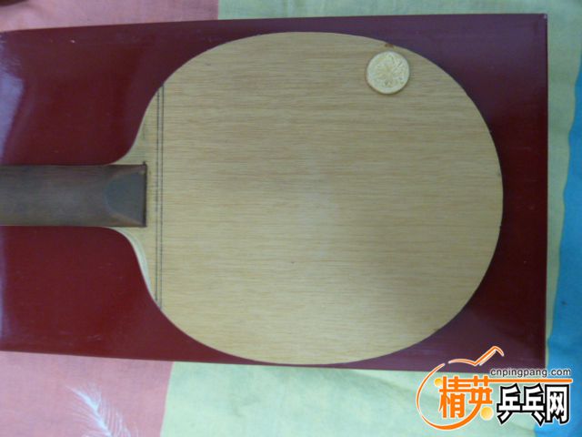 P1010021.JPG