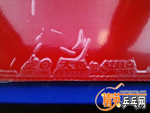 IMG_20161203_170419.jpg