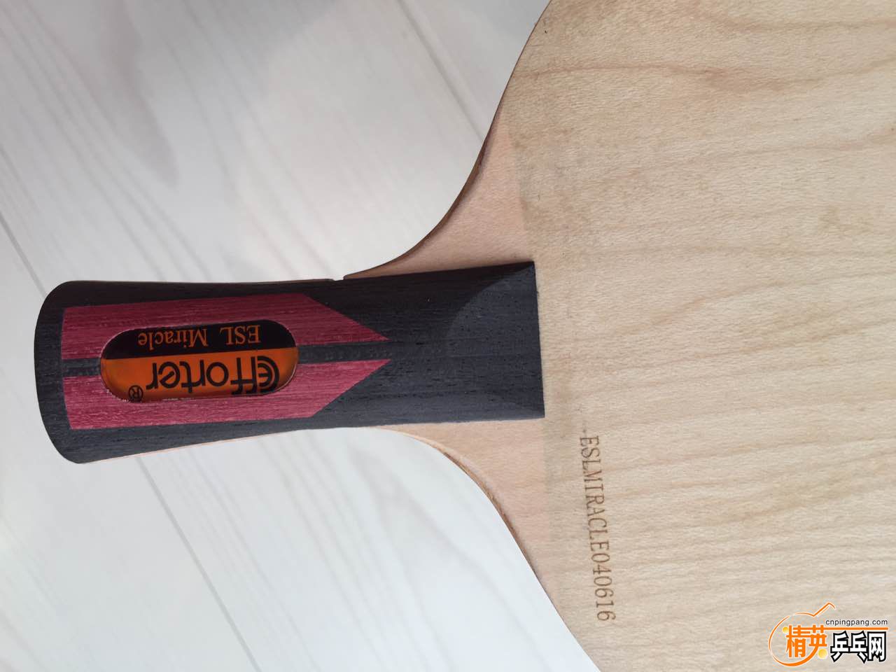 2016-12-03 172300(1).jpg