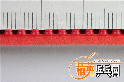 SPECTOL RED 4.JPG