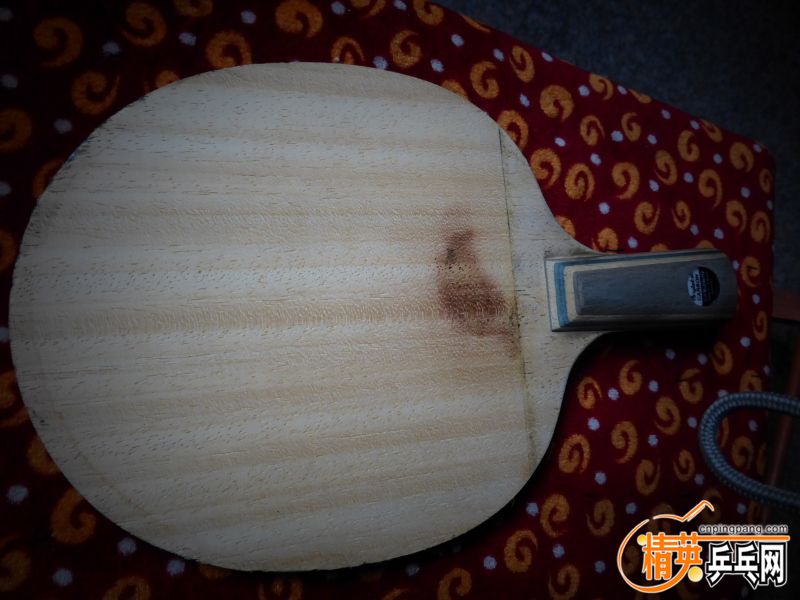 P1020605 (800x600).jpg