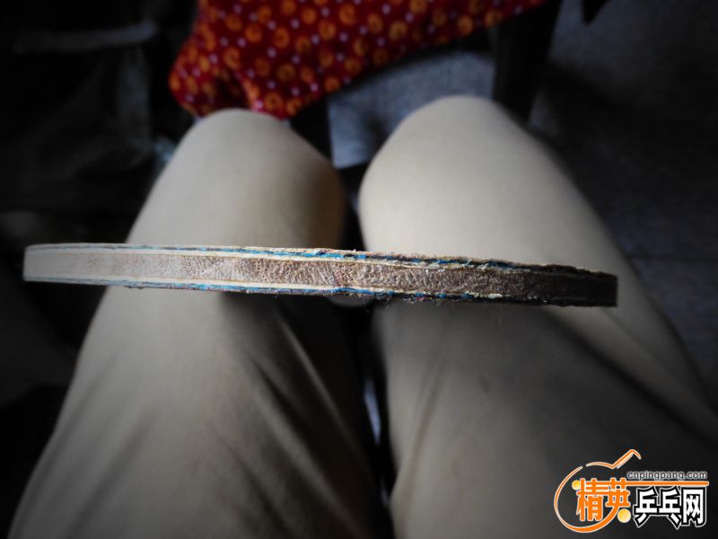 P1020611 (800x600).jpg