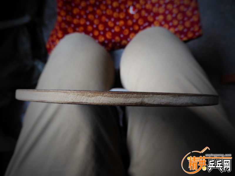 P1020638 (800x600).jpg