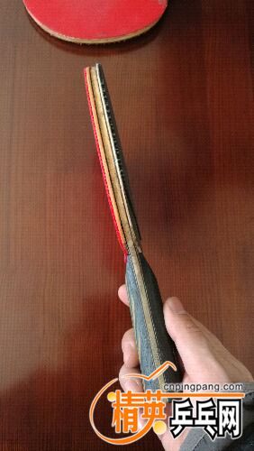 IMG_20161205_115236.jpg