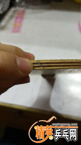 IMG_20161207_090415.jpg