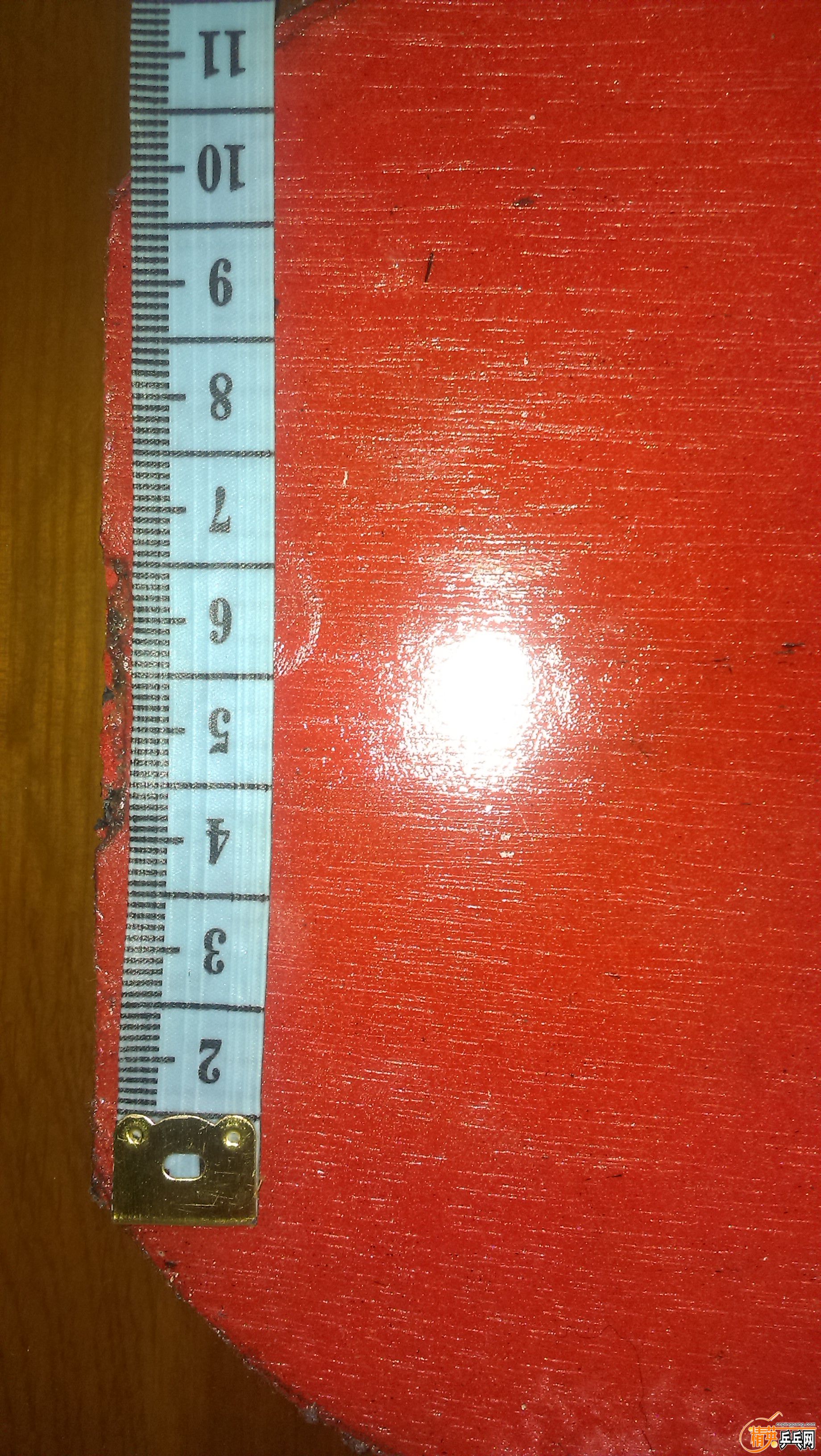 IMAG0116.jpg