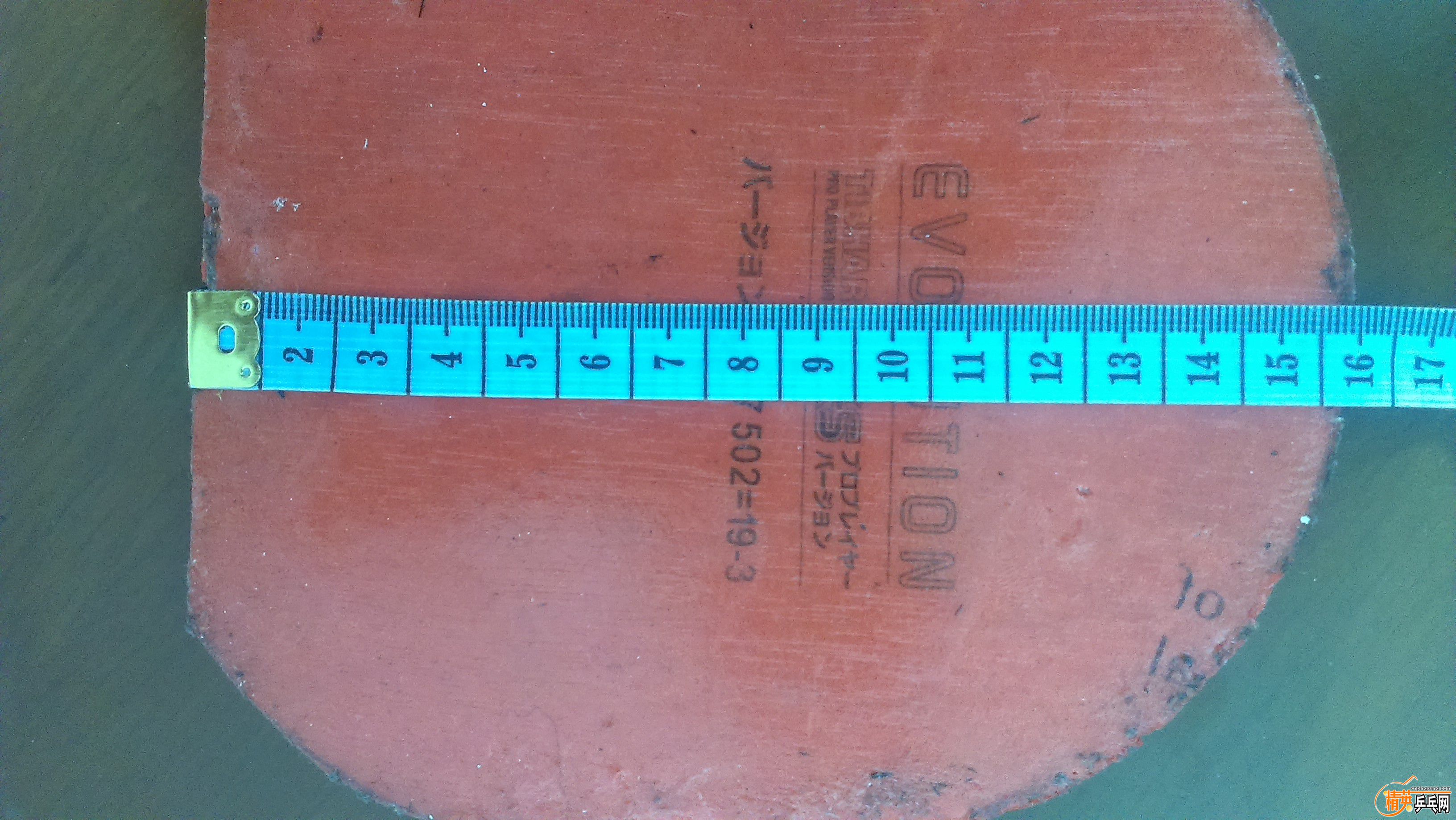 IMAG0119.jpg
