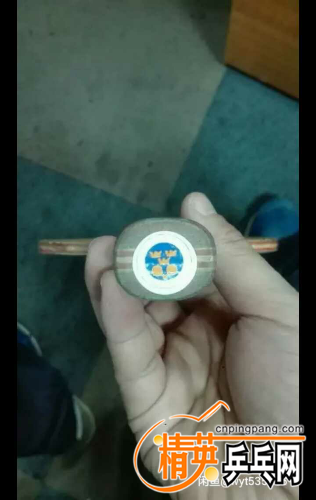 1481105766773.jpg