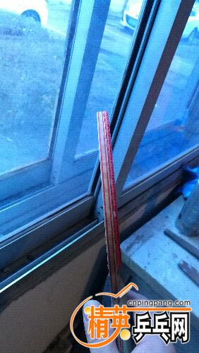 IMG_20161209_091426.jpg