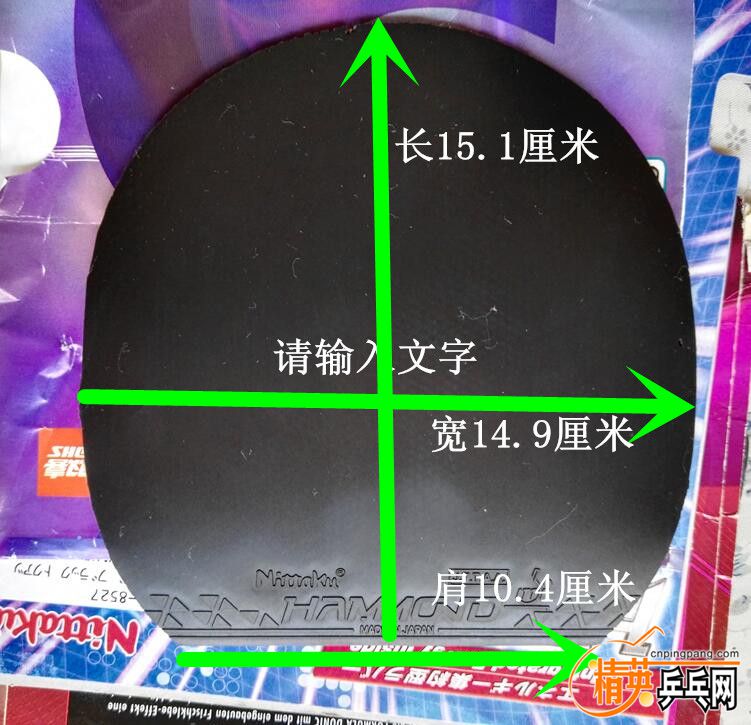 41.jpg