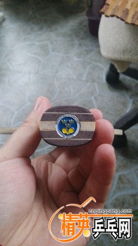 IMG_20161211_091415.jpg