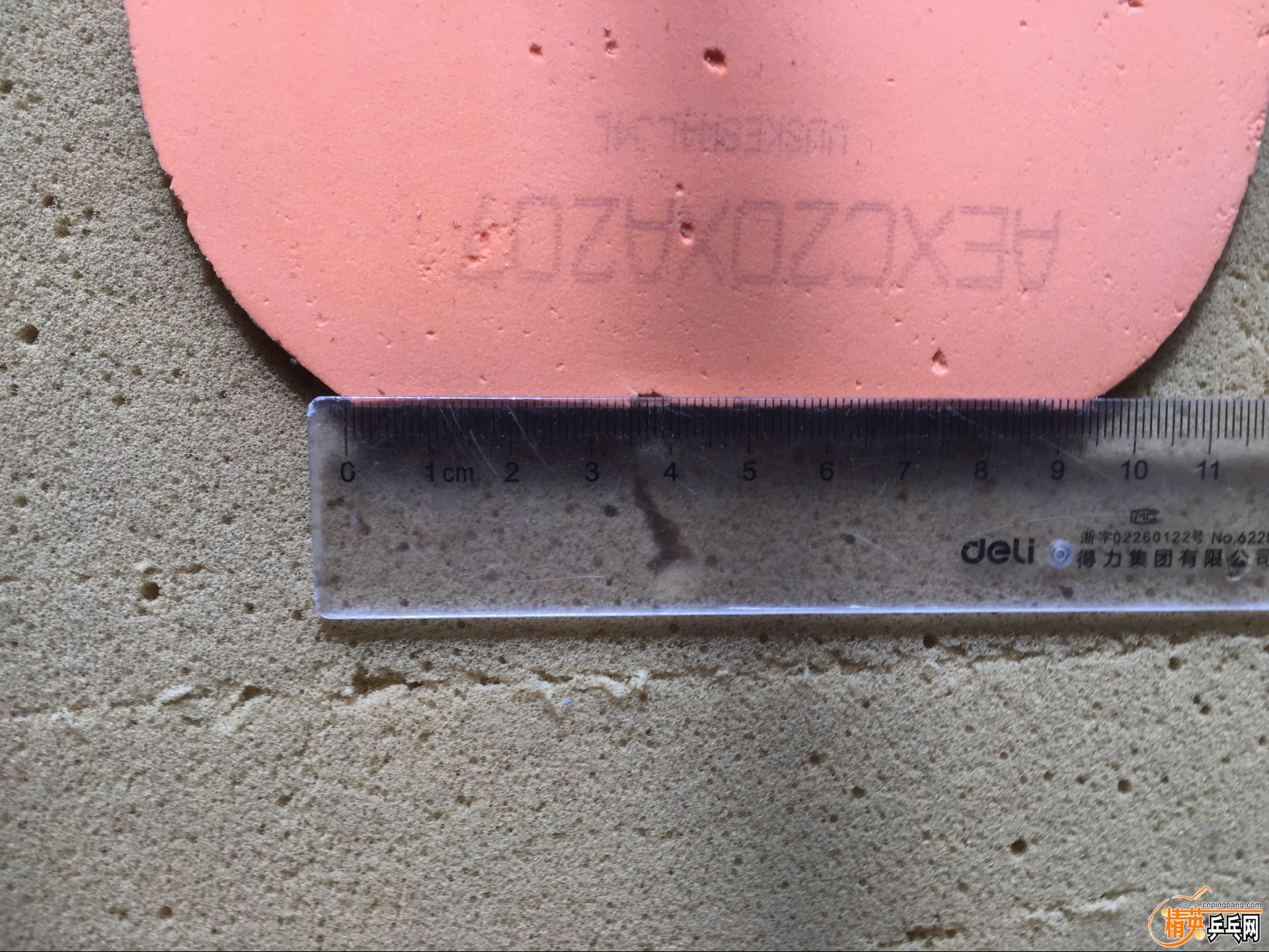 ���� (3).jpg