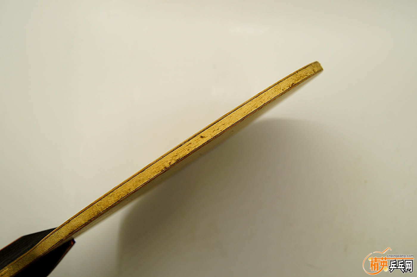 DSC03570.jpg
