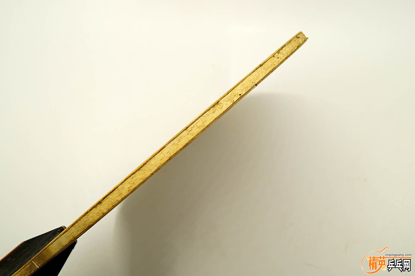 DSC03571.jpg
