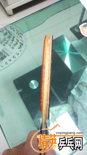 IMG_20161211_183122.jpg