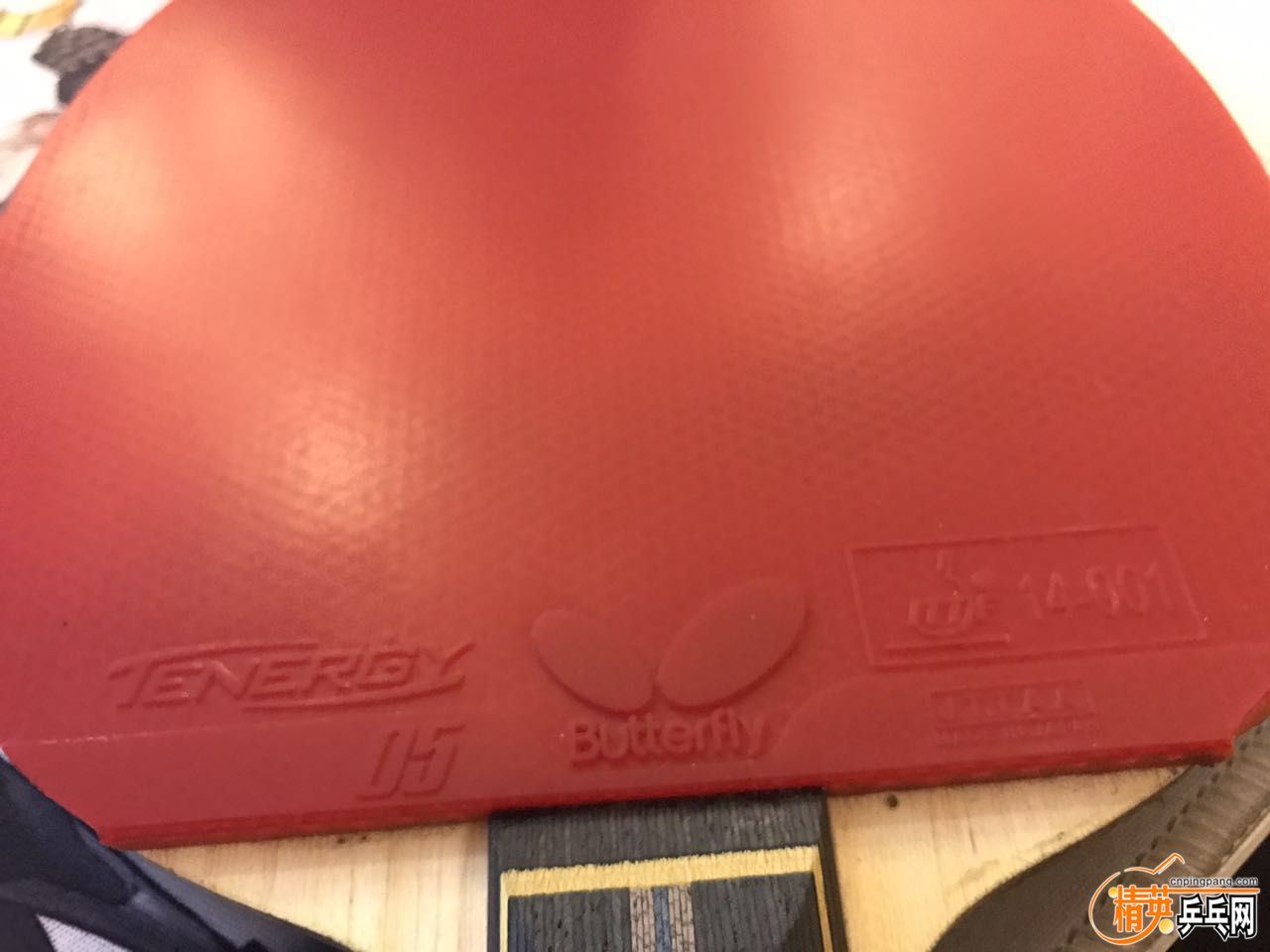 729301362345342964.jpg