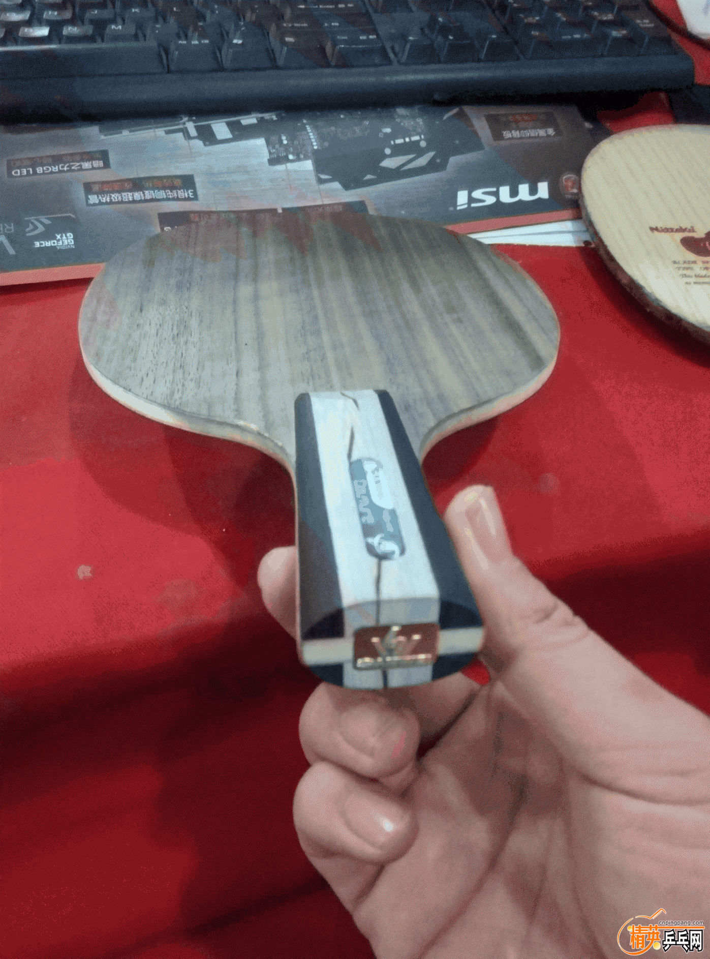 P61214-105710.gif