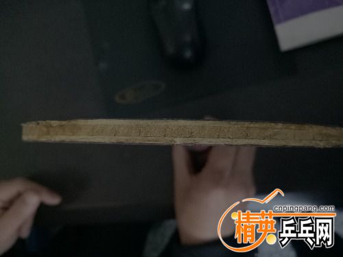 IMG20161215072546.jpg