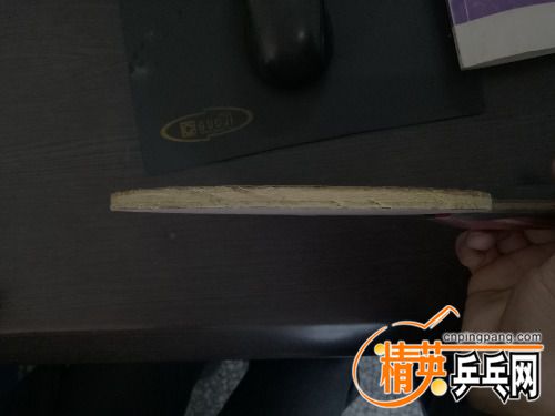 IMG20161215072532.jpg