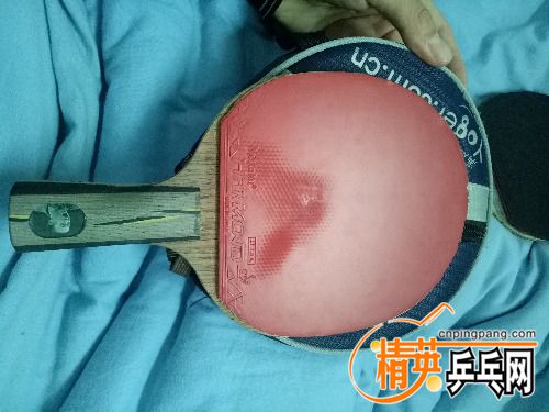 IMG20161213151729.jpg