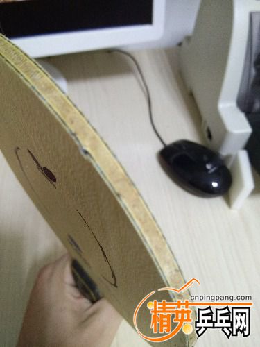 IMG_20161218_111312.jpg