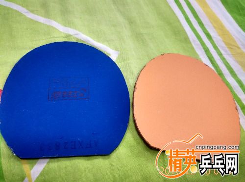 IMG_20161220_064310_HDR.jpg