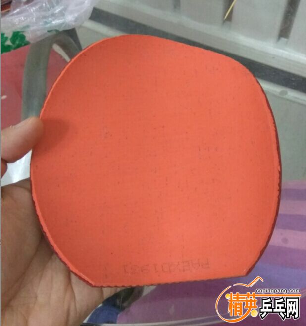 QQͼƬ20161221005354.jpg
