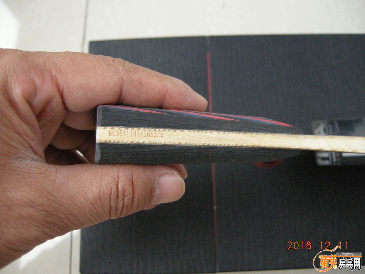 DSCN8831.JPG