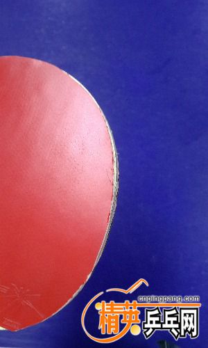 P61224-171701.jpg