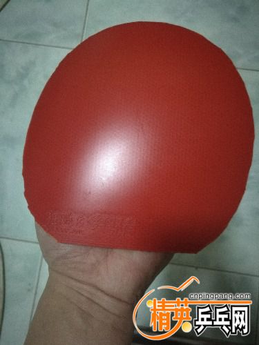 IMG_20161219_220020.jpg